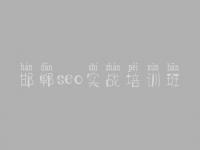 邯郸seo实战培训班_网站优化培训好的学校