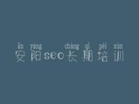 安阳seo长期培训，网站优化怎么去做
