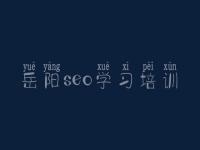 岳阳seo学习培训 b2b网站优化
