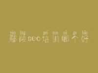 鄢陵seo培训哪个好，建设网页的