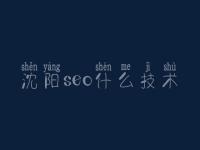 沈阳seo什么技术，免费网站的建设