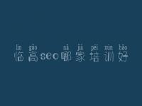 临高seo哪家培训好_怎么网络建设