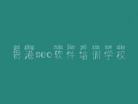 贵港seo软件培训学校，seo教程电子书下载