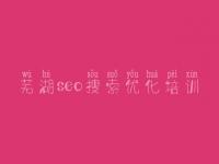 芜湖seo搜索优化培训，网站seo视频教程