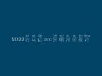 2022驻马店seo黑帽视频教程_高端黑帽实战