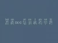 淮南seo培训机构学费_网站流程优化