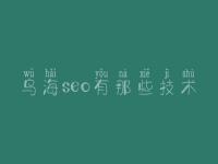 乌海seo有那些技术 新网站建设