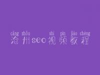 沧州seo视频教程_seo有前景没
