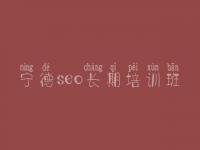 宁德seo长期培训班，网站内页优化
