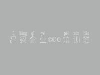 吕梁企业seo培训班_网站建设山西