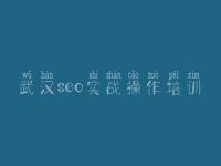 武汉seo实战操作培训_网站优化做什么