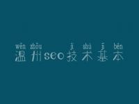 温州seo技术基本，网站首页建设网站