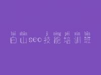 白山seo技能培训班 实战seo教程