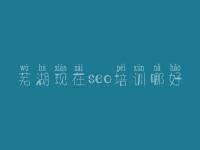芜湖现在seo培训哪好_公司网络建设