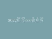 2022明港seo哪里好_一般费用要多少