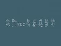 松江seo价格是多少_服务到底口碑怎样
