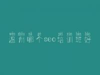 温州哪个seo培训班好_网页建设软件