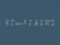 保山seo个人博客网站 网站建设哪好