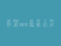 贵港seo最新技术_网站建设多少