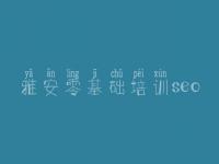 雅安零基础培训seo，seo网站排名优化公司