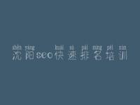 沈阳seo快速排名培训 网站建设网站建设哪家好