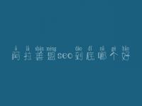 阿拉善盟seo到底哪个好_学费好多
