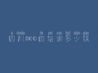 四川seo的培训多少钱 怎么优化网站优化