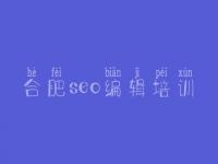 合肥seo编辑培训，网站优化学习教程