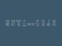 朝阳专业seo培训机构 关键词seo教程