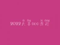 2022大丰seo课程，关键词优化推广排名