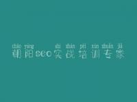 朝阳seo实战培训专家 怎么网站内页优化