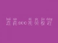 淮南seo视频教程_seo主管一般怎么做网站