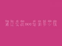 通辽实战seo培训多少钱_网站的优化是什么