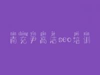 南充尹高洁seo培训_大网站建设
