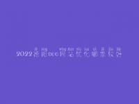 2022德阳seo网站优化哪家较好