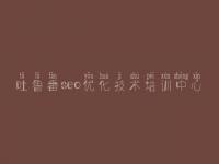 吐鲁番seo优化技术培训中心，网络推广seo优化