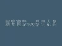 潮州网站seo培训机构，大网站建设