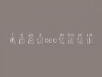 鸡西高级seo实战培训，网站建设实战