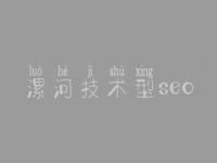 漯河技术型seo 网站优化顾问