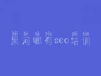 黑河哪有seo培训_国内搜索引擎优化