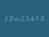 资阳seo培训哪个好_如何对网站进行优化