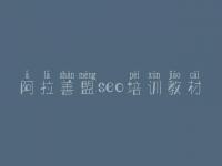 阿拉善盟seo培训教材，网站首页建设网站