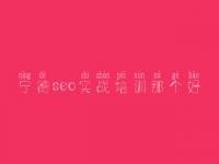 宁德seo实战培训那个好，seo网站排名优化公司