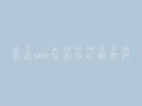 普洱seo培训学校哪家好，网站建设与管理