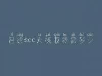 吕梁seo大概收费需多少_收费标准_服务