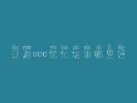 辽源seo优化培训哪里好 网站首页建设网