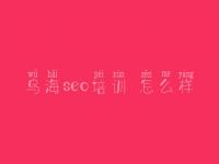 乌海seo培训 怎么样_网站优化效果