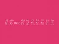 新乡seo网站优化培训班，网站平台建设方案