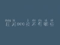 庄河seo技术有哪些，便宜的网站建设