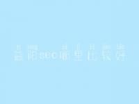 益阳seo哪里比较好_通常学费要多少